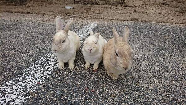 FB_IMG_1523431126061_看图王.jpg FB_IMG_1523431126061_看图王.jpg