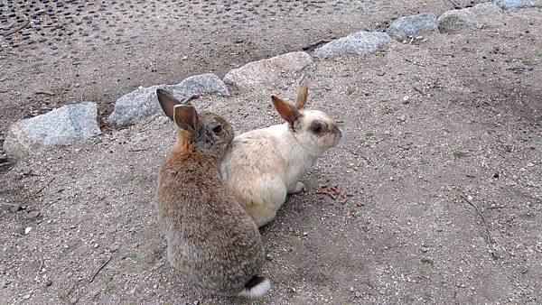 1523702796572_看图王.jpg 1523702796572_看图王.jpg