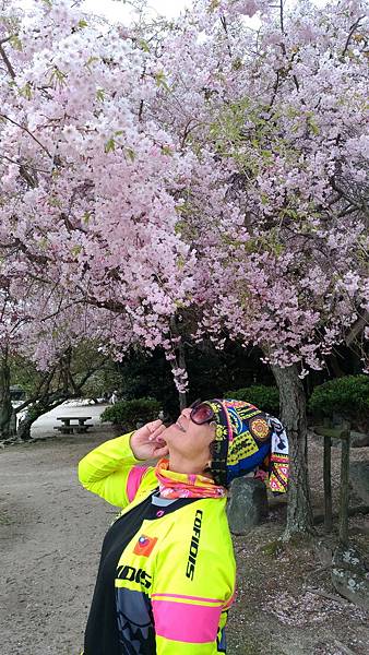 1523702849000_看图王.jpg 1523702849000_看图王.jpg