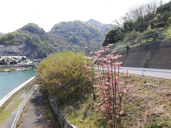 20180410_125951_看图王.JPG 20180410_125951_看图王.JPG