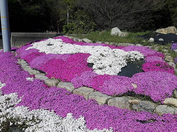 20180410_144641_看图王.JPG 20180410_144641_看图王.JPG