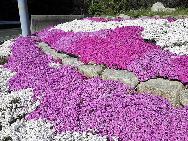 20180410_145058_看图王.JPG 20180410_145058_看图王.JPG