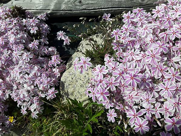 20180410_145430_看图王.JPG 20180410_145430_看图王.JPG