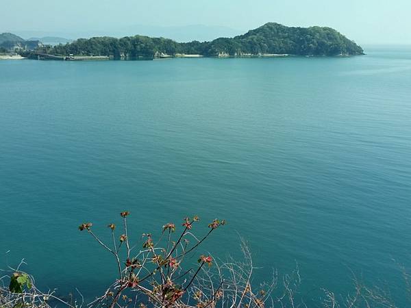 1523701321713_看图王.JPG 1523701321713_看图王.JPG