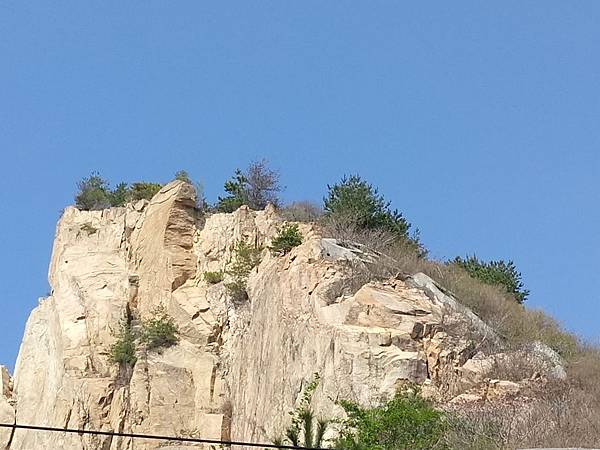 1523701379899_看图王.JPG 1523701379899_看图王.JPG