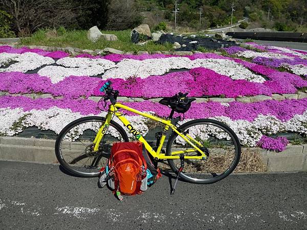 1523701409521_看图王.JPG 1523701409521_看图王.JPG