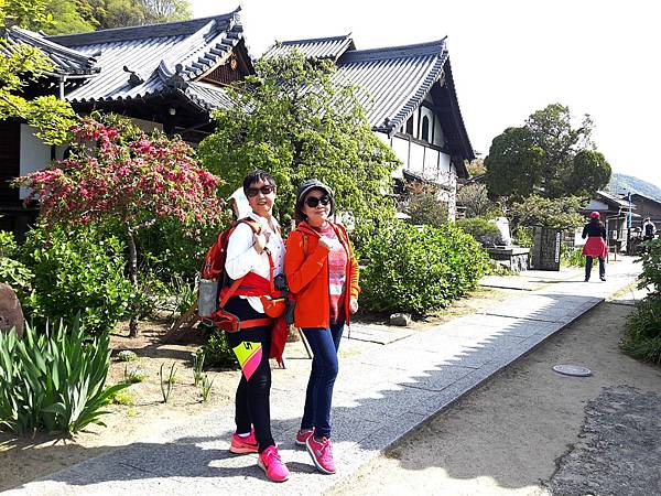 20180412_092341_看图王_看图王.jpg 20180412_092341_看图王_看图王.jpg