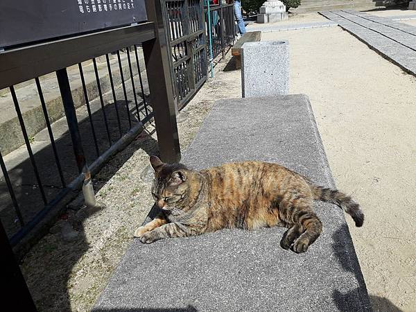 20180412_093524_看图王.jpg 20180412_093524_看图王.jpg