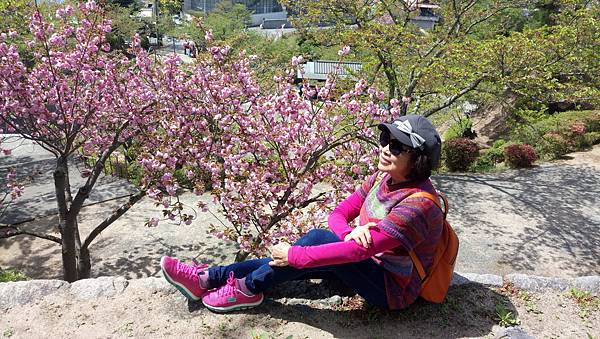 1523719691193_看图王.jpg 1523719691193_看图王.jpg