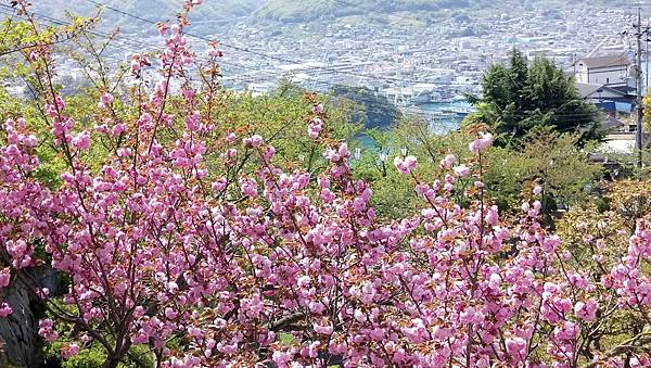 1523719696249_看图王.jpg 1523719696249_看图王.jpg