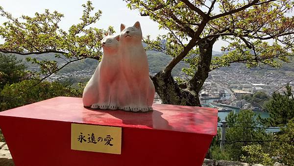 1523719732089_看图王.jpg 1523719732089_看图王.jpg