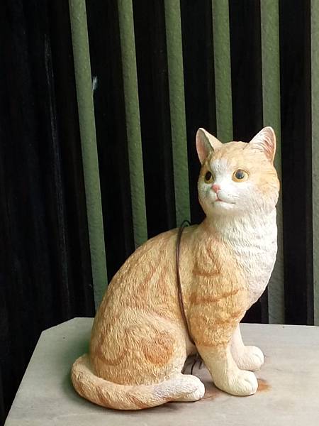 1523719908682_看图王.jpg 1523719908682_看图王.jpg