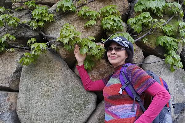 1523892892799_看图王.jpg 1523892892799_看图王.jpg