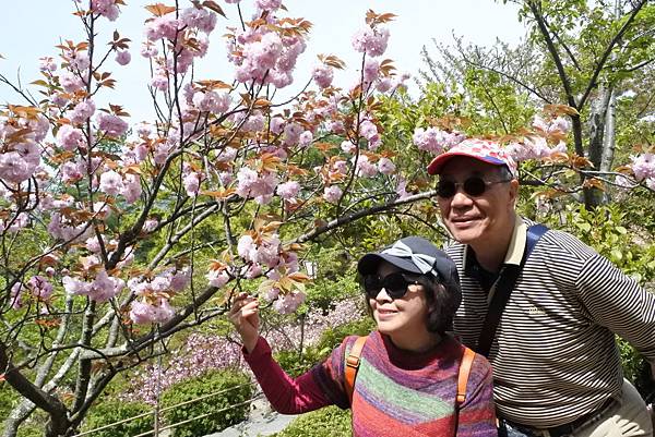 1523893363590_看图王.jpg 1523893363590_看图王.jpg