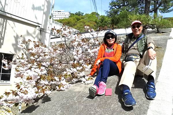 1523893727262_看图王_看图王.jpg 1523893727262_看图王_看图王.jpg