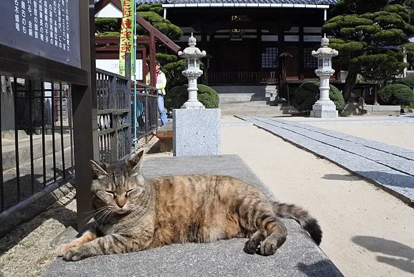 1523893699163_看图王.jpg 1523893699163_看图王.jpg