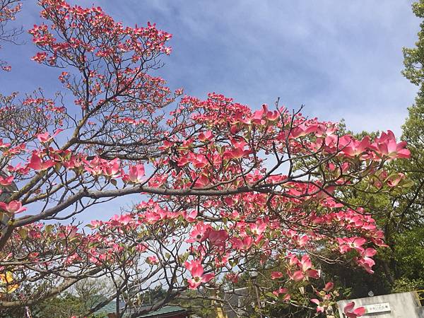 1528213283334.jpg 1528213283334.jpg