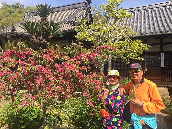 1528213243527.jpg 1528213243527.jpg