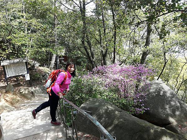 1528213429123.jpg 1528213429123.jpg