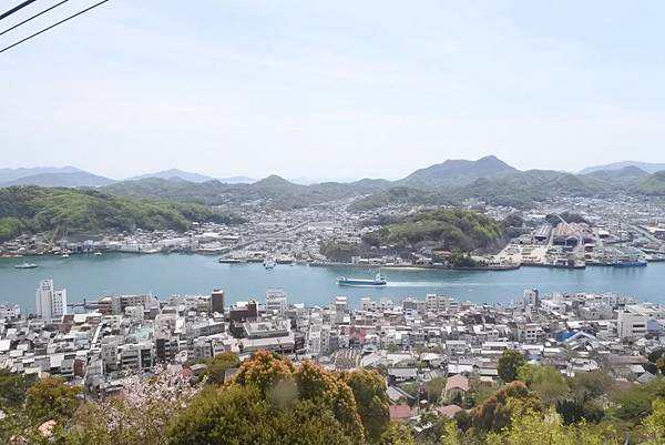 1528213900406.jpg 1528213900406.jpg