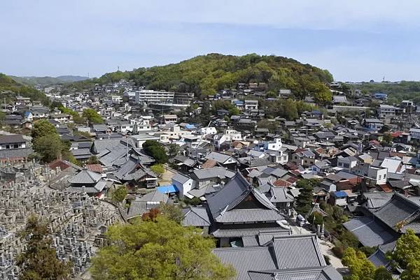 1528214226016.jpg 1528214226016.jpg