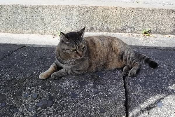 1528214414648.jpg 1528214414648.jpg