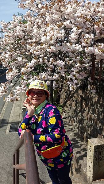 1528214842035.jpg 1528214842035.jpg