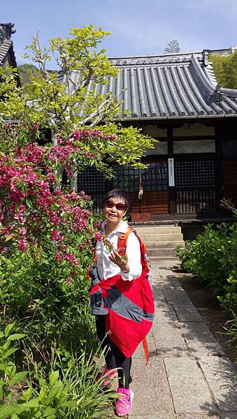 1528214982487.jpg 1528214982487.jpg