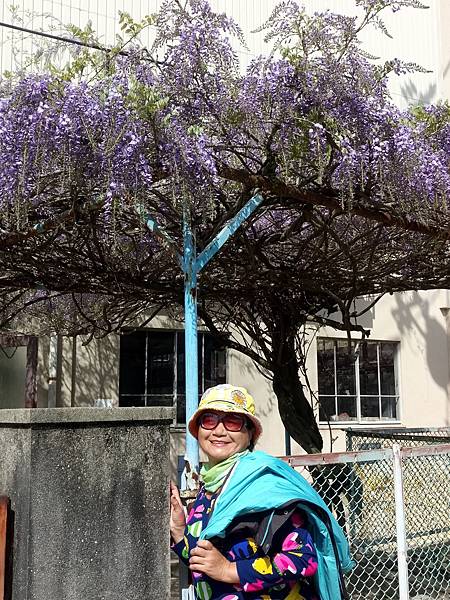 1528215057802.jpg 1528215057802.jpg