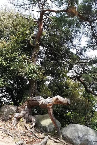 IMG_20180606_002733.jpg IMG_20180606_002733.jpg