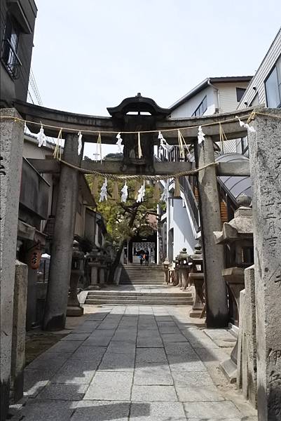 IMG_20180606_002820.jpg IMG_20180606_002820.jpg