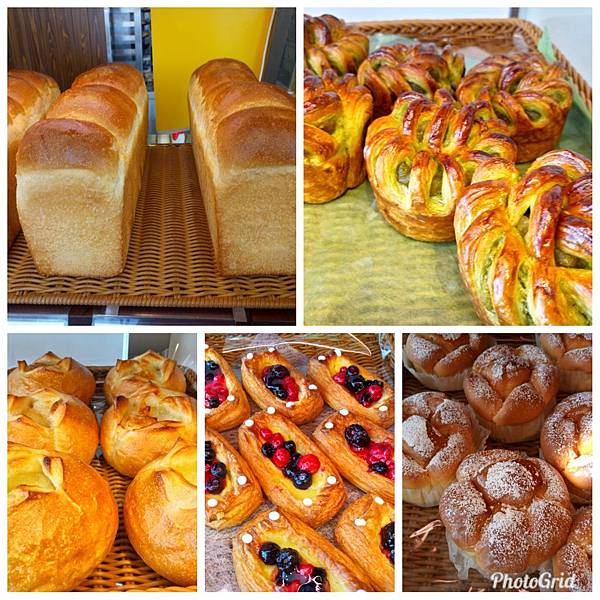 PhotoGrid_1528281811784.jpg PhotoGrid_1528281811784.jpg