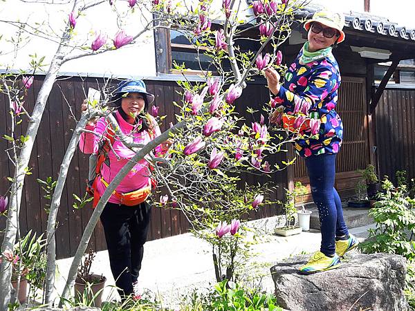 20180412_092716_看图王_看图王.jpg 20180412_092716_看图王_看图王.jpg