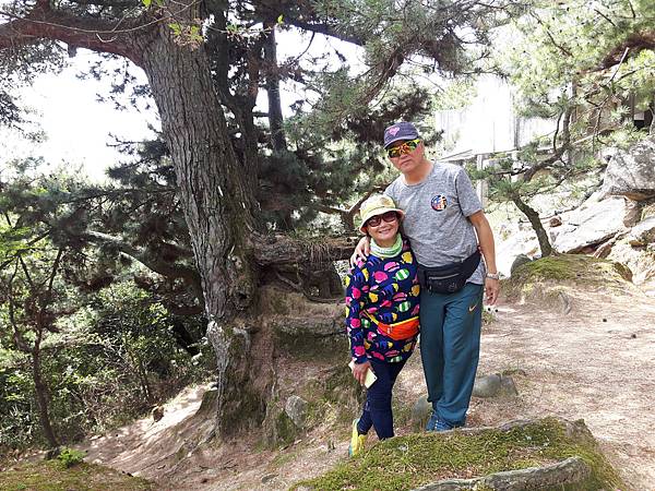 20180412_111008_看图王.jpg 20180412_111008_看图王.jpg