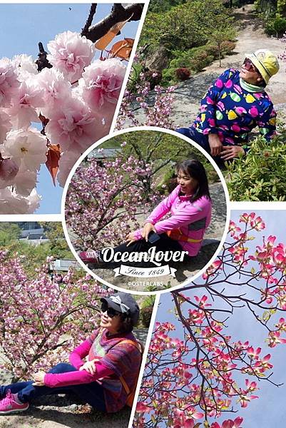 1523887533829_看图王.jpg 1523887533829_看图王.jpg