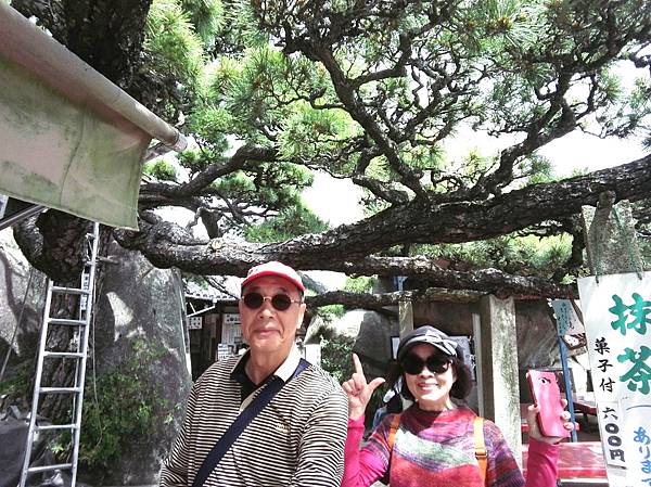 1523887943671_看图王_看图王.jpg 1523887943671_看图王_看图王.jpg