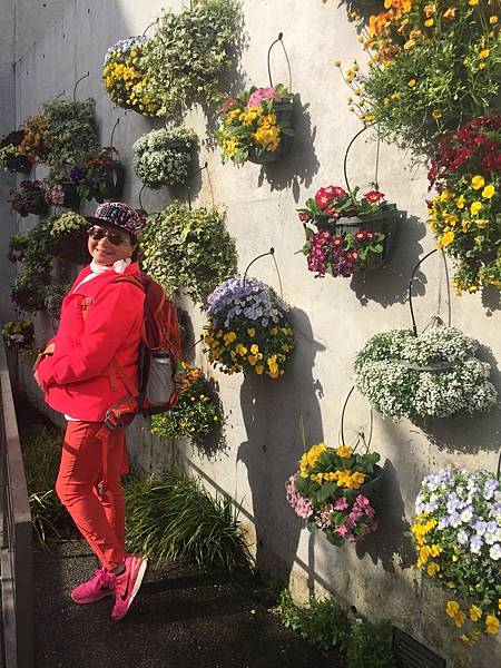 1530520495627.jpg 1530520495627.jpg