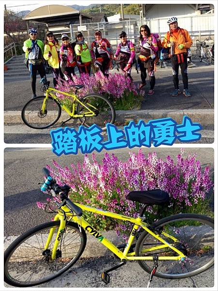 1530520703284.jpg 1530520703284.jpg