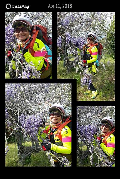 1530520750361.jpg 1530520750361.jpg