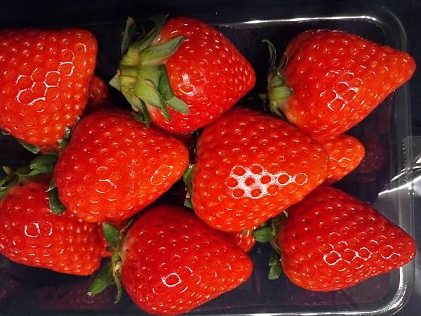 1530521154470.jpg 1530521154470.jpg