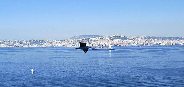 IMG20190819095718_看图王.jpg IMG20190819095718_看图王.jpg