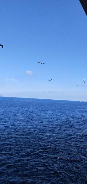 IMG20190818171909_看图王.jpg IMG20190818171909_看图王.jpg