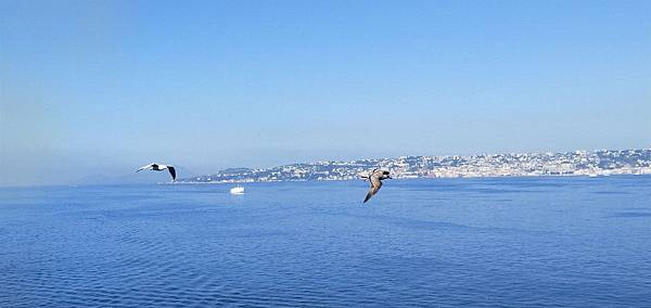 IMG20190819095732_看图王.jpg IMG20190819095732_看图王.jpg