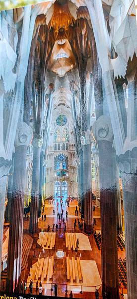 line_76379989626382.jpg line_76379989626382.jpg