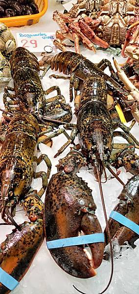 IMG20190823151820.jpg IMG20190823151820.jpg