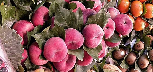 IMG20190823150238.jpg IMG20190823150238.jpg