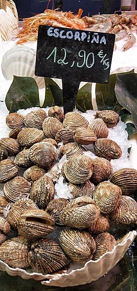 IMG20190823151303.jpg IMG20190823151303.jpg