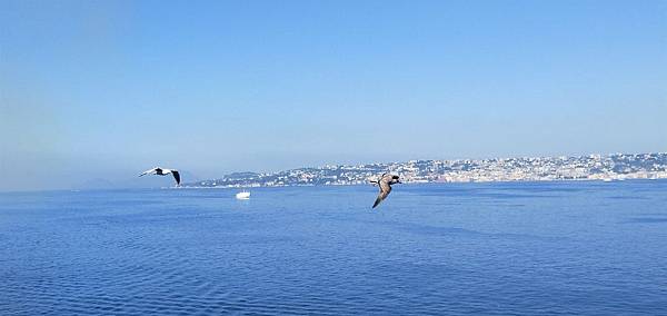 IMG20190819095732.jpg IMG20190819095732.jpg