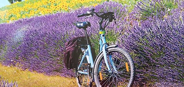 line_378810869424243.jpg line_378810869424243.jpg