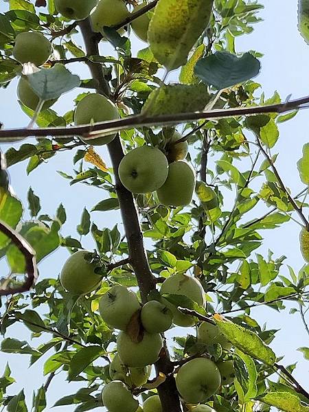 line_79401708530073.jpg line_79401708530073.jpg